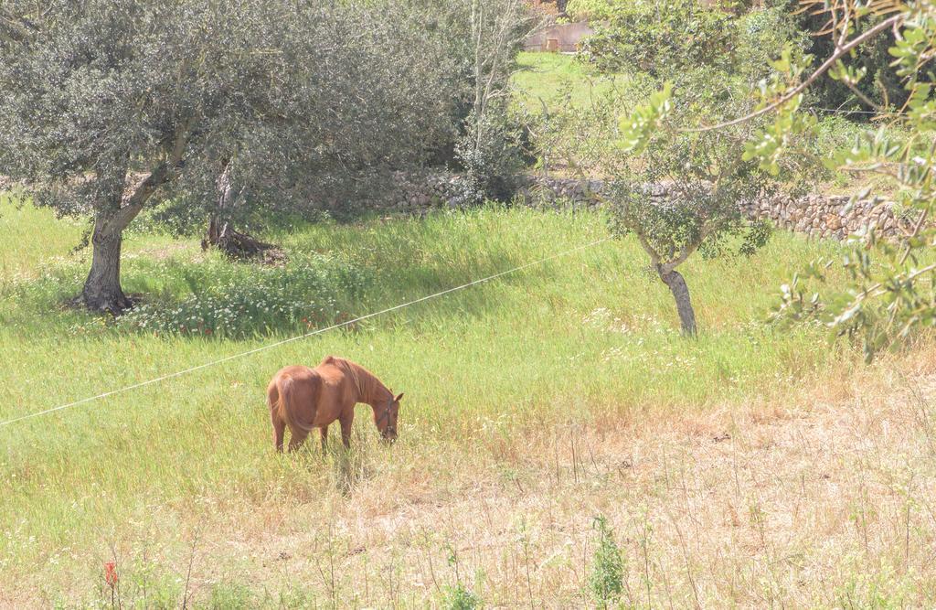Finca Batlet S'Horta Екстер'єр фото