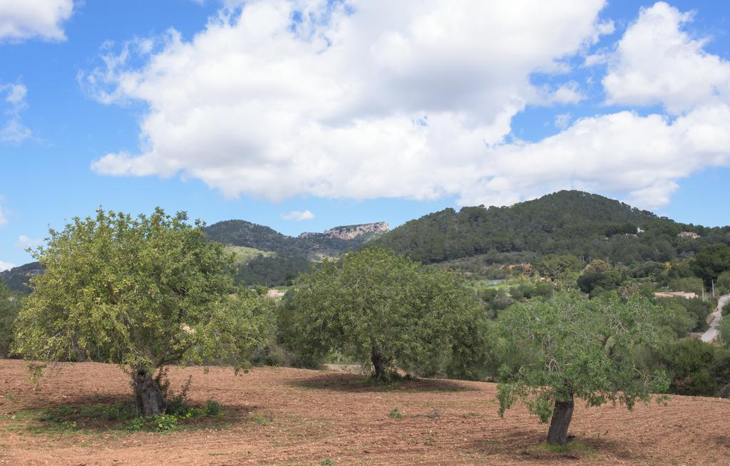 Finca Batlet S'Horta Екстер'єр фото